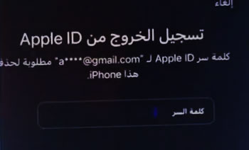 أدخل معرف أبل لمسح آيفون