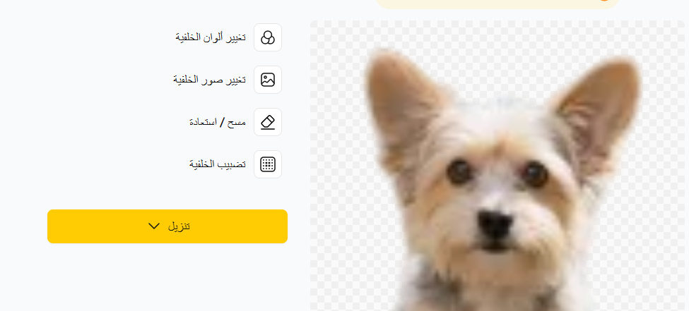 كم يدفع التيك توك مقابل 1000 مشاهدة