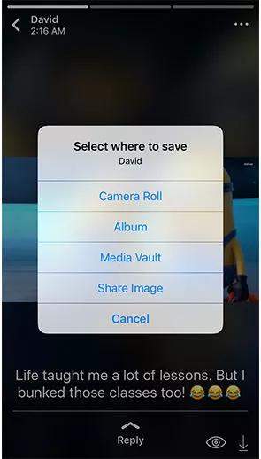 save whatsapp photos videos